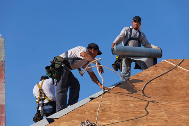 Best Roof Gutter Cleaning  in Mission Hills, KS